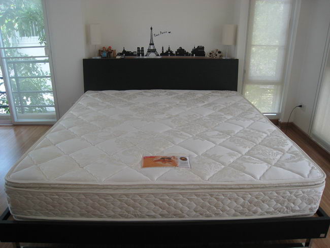 plastic-cover-bed-10